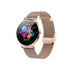 CARNEO Phoenix HR+ GOLD Ultra thin CARNEO Phoenix HR+ GOLD Ultra thin