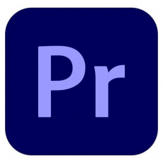 Premiere Pro for TEAMS MP ENG GOV RNW 1 User, 12 Months, Level 1, 1-9 Lic