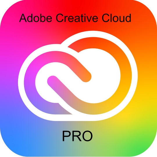 Adobe Creative Cloud Pro PLUS for teams MP ML (+CZ) Government 1 User, 12 Months, Level 4, 100+ Lic