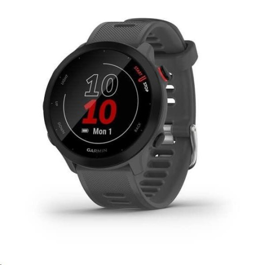 Garmin GPS sportovní hodinky Forerunner 55 Grey, EU